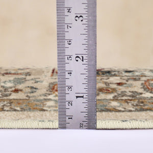 Amer Rugs Allure Classic Bordered Power-loom Area Rug – Durable, Stylish, And Perfect For High-traffic Spaces Ivory,Multi Polypropylene Alu55176