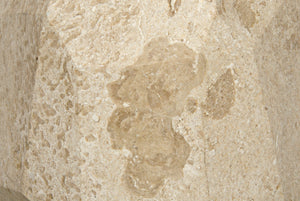 Noir Polyhedron Side Table - Timeless Elegance with Sculptural Design for Modern and Classic Interiors Natural AM-194WM