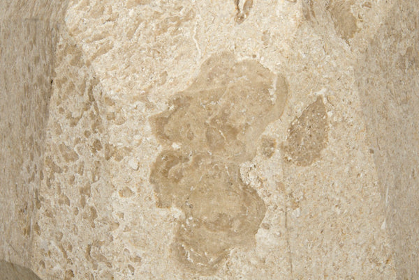 Noir Polyhedron Side Table - Timeless Elegance with Sculptural Design for Modern and Classic Interiors Natural AM-194WM