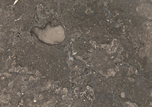 Noir Barnes Side Table - Sculptural Postmodern Marble Accent Table with Unique Veining & Design AM-313