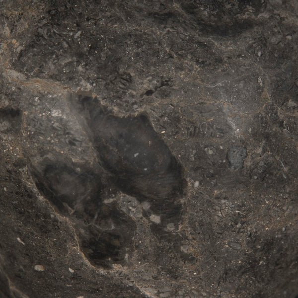 Noir Neo Sculptural Black Marble Accent - Timeless Elegance with Unique Veining for Modern Interiors AM-320BM