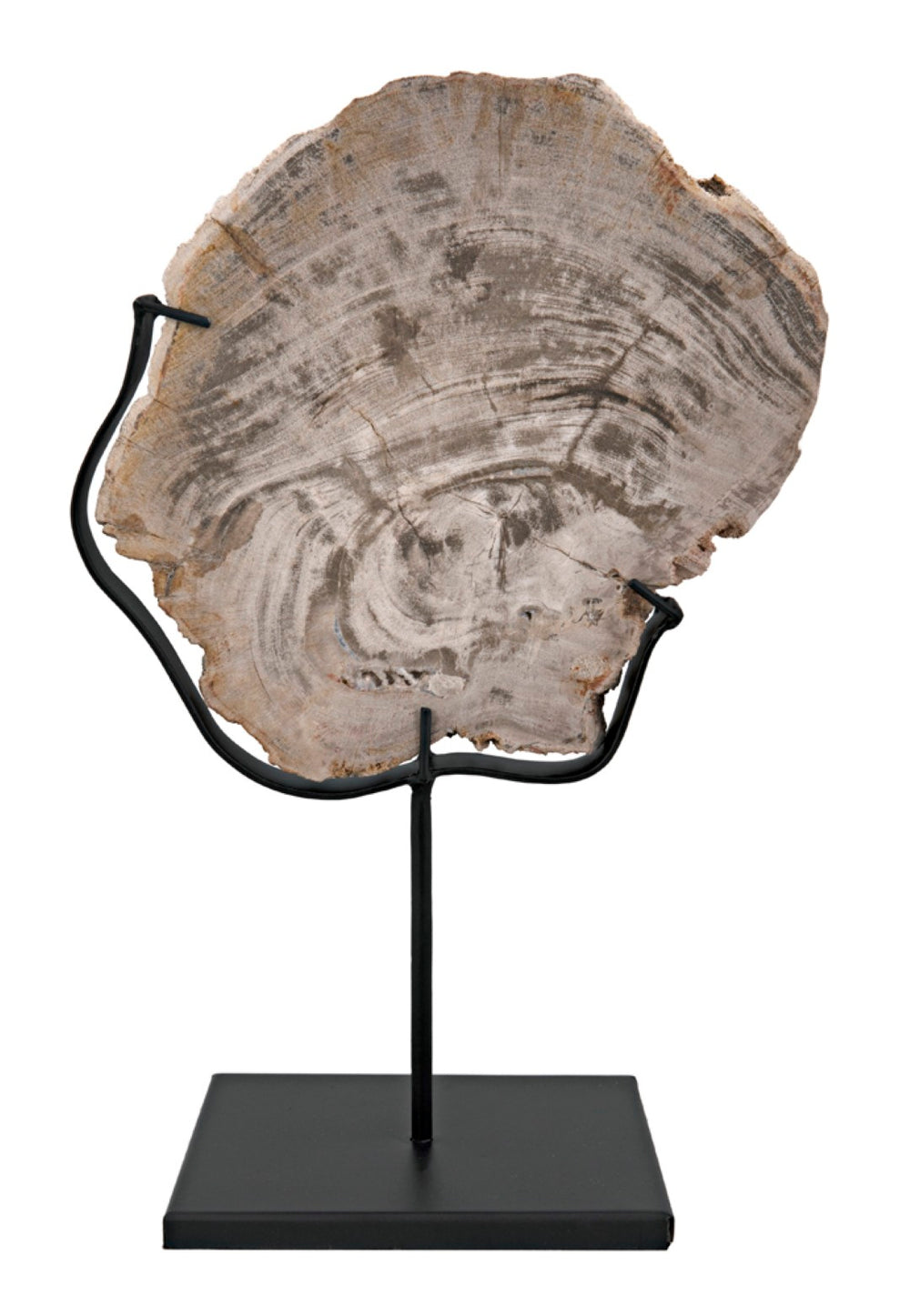 Noir Wood Fossil Display with Hand-Wrought Iron Stand, Unique 8" Petrified Wood Accent for Home Decor AM-39C
