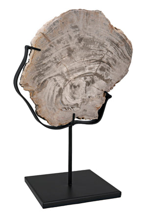 Noir Wood Fossil Display with Hand-Wrought Iron Stand, Unique 8" Petrified Wood Accent for Home Decor AM-39C