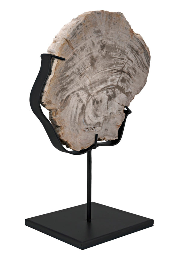 Noir Wood Fossil Display with Hand-Wrought Iron Stand, Unique 8" Petrified Wood Accent for Home Decor AM-39C