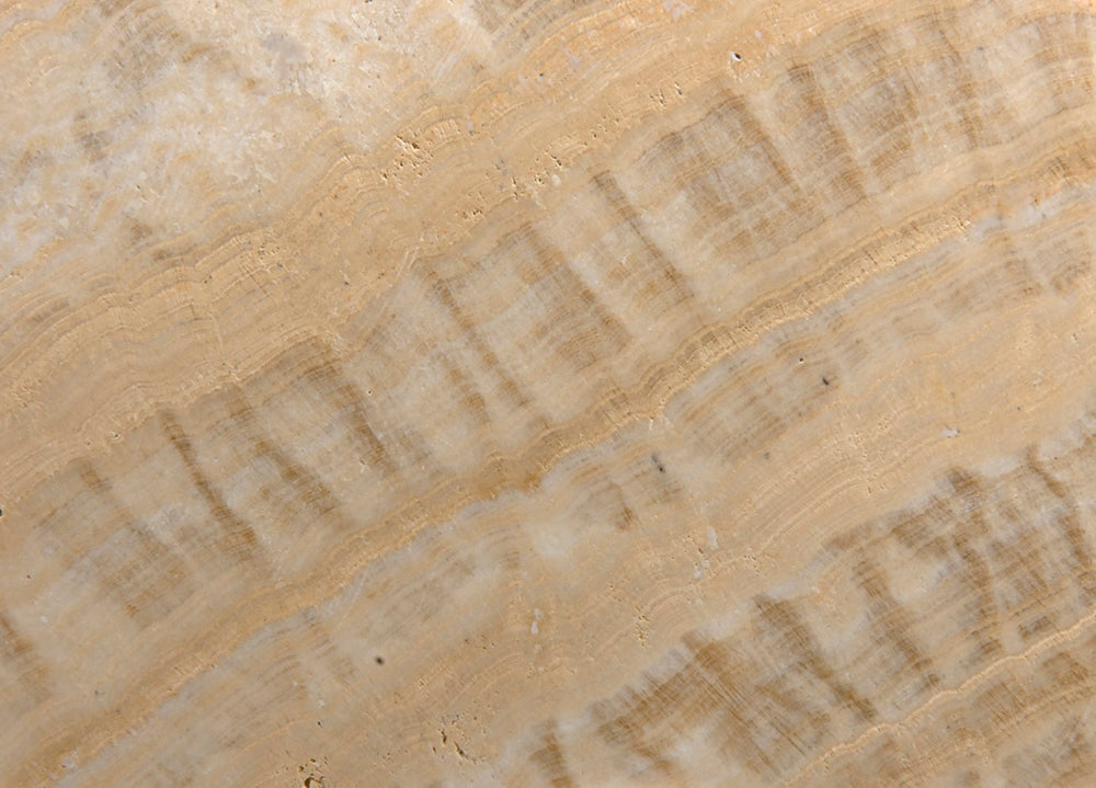 Noir Onyx Ring Display on Black Metal Stand – Unique Natural Stone Art Piece for Elegant Decor Vignettes AM-40A