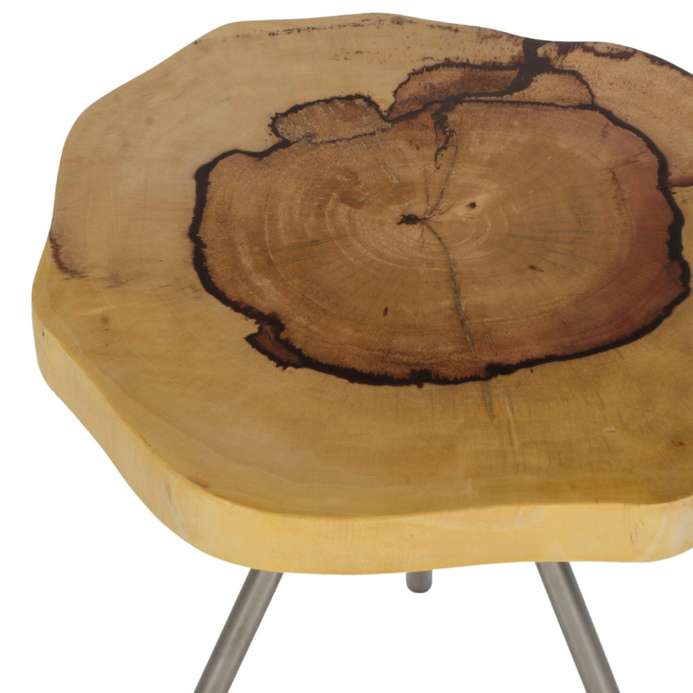 Safavieh Dorina Side Table - Reclaimed Wood Elegance With Metal Legs, Perfect For Rustic Or Modern Spaces AMH4623A
