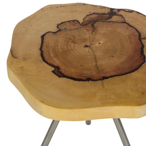 Safavieh Dorina Side Table - Reclaimed Wood Elegance With Metal Legs, Perfect For Rustic Or Modern Spaces AMH4623A