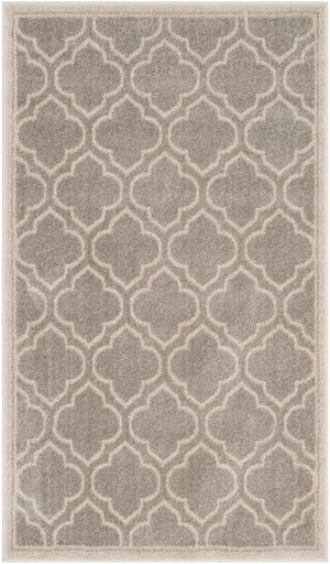 Safavieh Amherst 412 Power Loomed  Rug Light Grey / Ivory AMTW412B-3