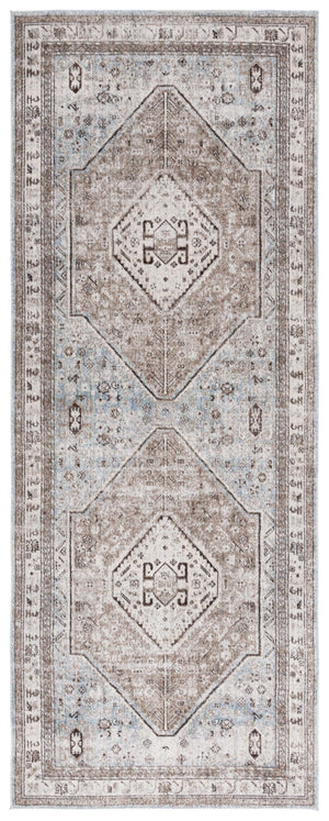 Safavieh Antique Patina 646 Power Loomed Traditional Rug ANP646M-410