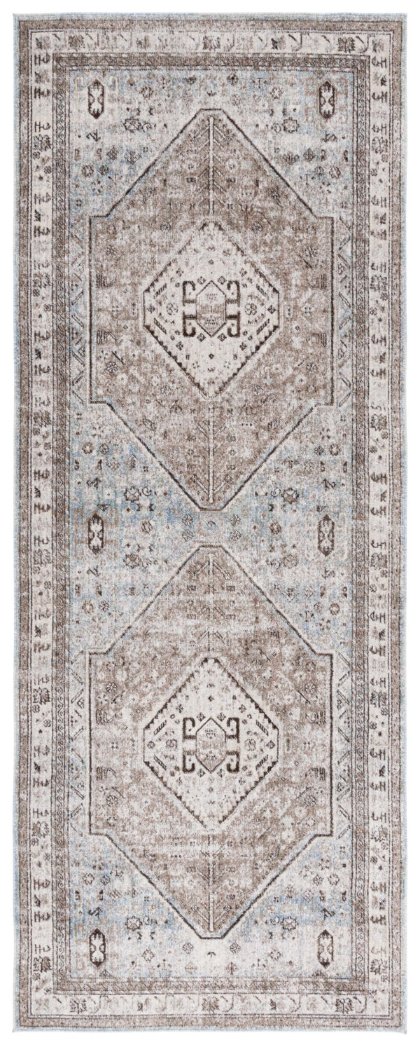 Safavieh Antique Patina 646 Power Loomed Traditional Rug ANP646M-410