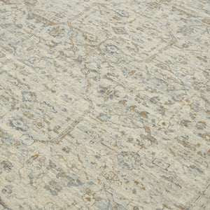 Amer Rugs Antiquity Hand-knotted Area Rug - Elegant Persian-inspired Design In Premium New Zealand Wool Ivory Wool Anq530912