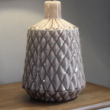 Swinton Ceramic Table Lamp AP2189SNG Evolution by Crestview Collection