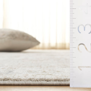 Safavieh April Exquisite Area Rug - Elegant Turkish Design With Ornate Floral Pattern For Modern Homes Ivory ,Sage Polyester Apl218a-8