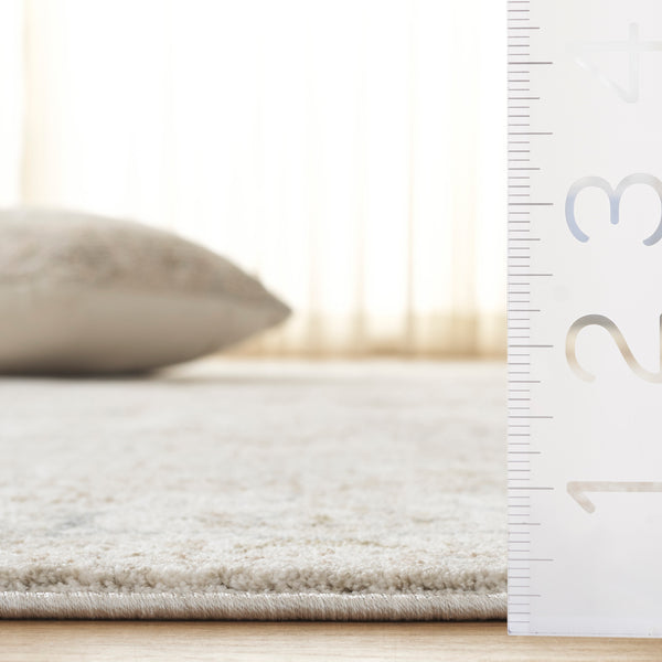 Safavieh April Exquisite Area Rug - Elegant Turkish Design With Ornate Floral Pattern For Modern Homes Ivory ,Sage Polyester Apl218a-8