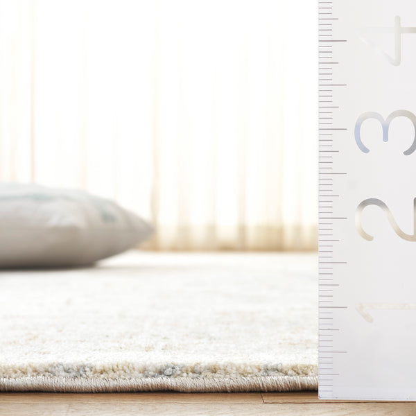 Safavieh April Exquisite Area Rug - Elegant Turkish Design With Ornate Floral Pattern For Modern Homes Ivory ,Grey Polyester Apl218b-8