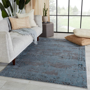 Jaipur Living Vibe by Jaipur Living Esposito Distressed Medallion Rug Southwestern Boho Room Blue 10'X14' RUG152699