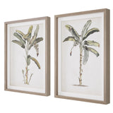 Uttermost Banana Palm Framed Prints, Set/2 41446 PINE,MDF,VENEER,LINEN