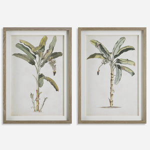 Uttermost Banana Palm Framed Prints, Set/2 41446 PINE,MDF,VENEER,LINEN