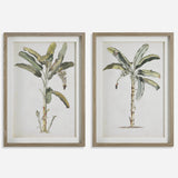 Uttermost Banana Palm Framed Prints, Set/2 41446 PINE,MDF,VENEER,LINEN