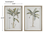 Uttermost Banana Palm Framed Prints, Set/2 41446 PINE,MDF,VENEER,LINEN