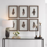 Uttermost Birds Of A Feather Framed Prints, S/6 41460 PLASTIC, GLASS, PAPER