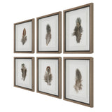 Uttermost Birds Of A Feather Framed Prints, S/6 41460 PLASTIC, GLASS, PAPER