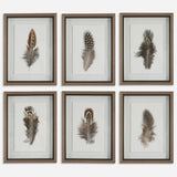 Uttermost Birds Of A Feather Framed Prints, S/6 41460 PLASTIC, GLASS, PAPER