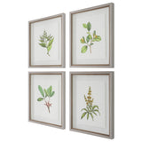 Uttermost Wildflower Study Framed Prints, S/4 41461 PLASTIC, GLASS, PAPER