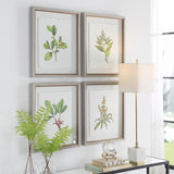 Uttermost Wildflower Study Framed Prints, S/4 41461 PLASTIC, GLASS, PAPER