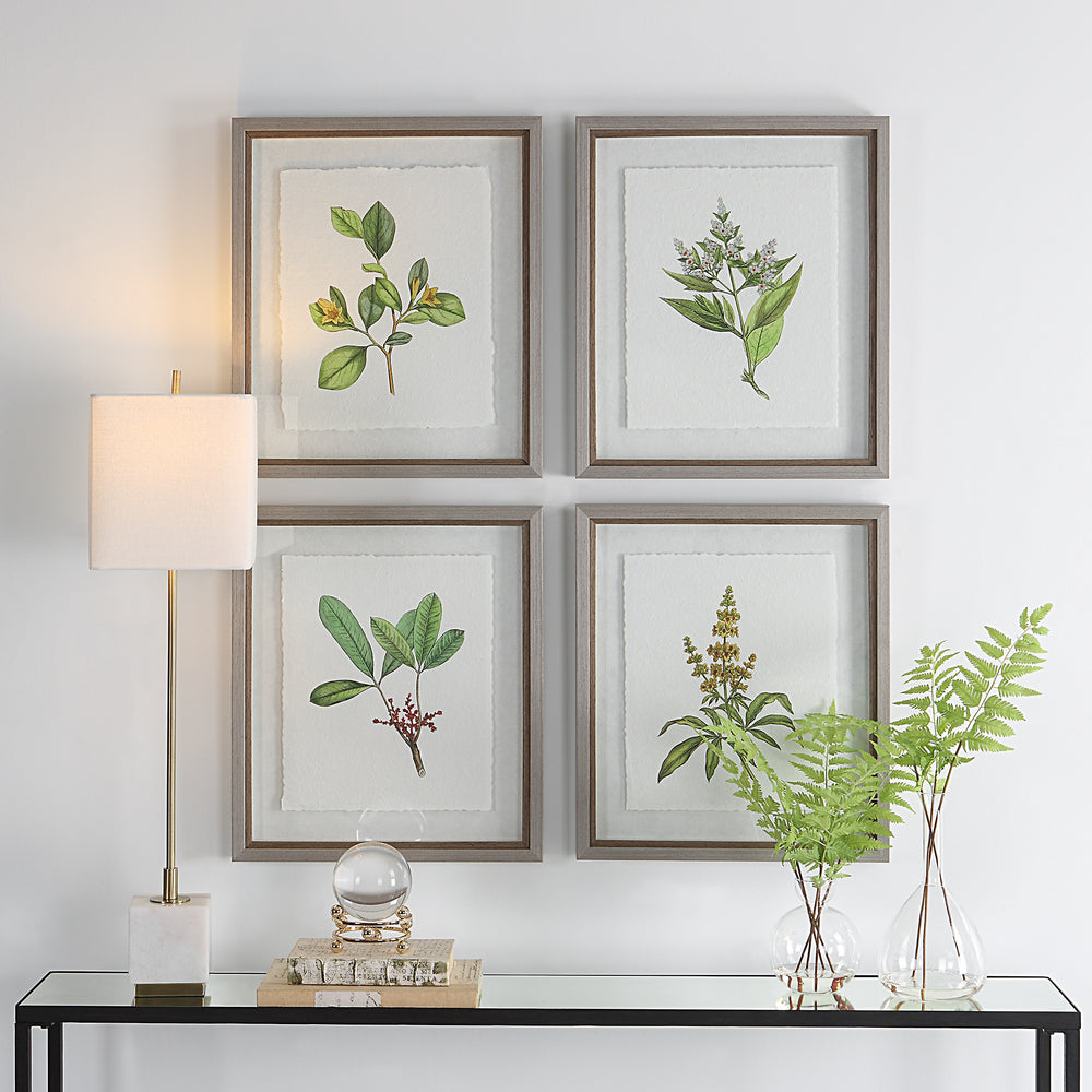 Uttermost Wildflower Study Framed Prints, S/4 41461 PLASTIC, GLASS, PAPER