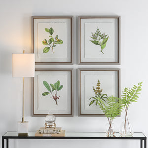 Uttermost Wildflower Study Framed Prints, S/4 41461 PLASTIC, GLASS, PAPER