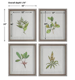 Uttermost Wildflower Study Framed Prints, S/4 41461 PLASTIC, GLASS, PAPER