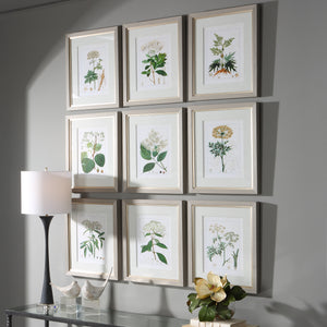 Uttermost Antique Botanicals Framed Prints, S/9 41466 PLASTIC, GLASS, PAPER
