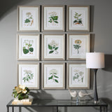 Uttermost Antique Botanicals Framed Prints, S/9 41466 PLASTIC, GLASS, PAPER