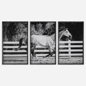 Uttermost Galloping Forward Equine Prints, Set/3 32279 PINEWOOD,MDF, GLASS, PAPER