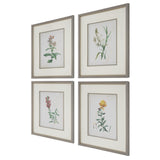 Uttermost Heirloom Blooms Study Framed Prints Set/4 32285 PLASTI,GLASS,MDF,PAPER,LINEN,VENEER