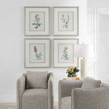 Uttermost Heirloom Blooms Study Framed Prints Set/4 32285 PLASTI,GLASS,MDF,PAPER,LINEN,VENEER