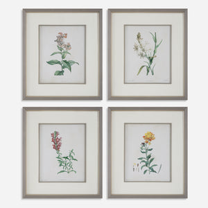 Uttermost Heirloom Blooms Study Framed Prints Set/4 32285 PLASTI,GLASS,MDF,PAPER,LINEN,VENEER