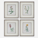 Uttermost Heirloom Blooms Study Framed Prints Set/4 32285 PLASTI,GLASS,MDF,PAPER,LINEN,VENEER