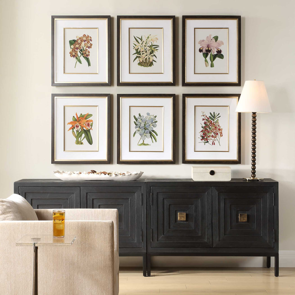 Uttermost Orchid Botanical Framed Prints Set Of 6 - Vibrant Art Collection In Dark Walnut Frames Black,Blue,Gold,Green,Orange,Pink,Purple,Red Plastic,Glass,Mdf,Paper,Linen 32447