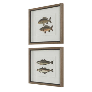 Uttermost Framed Fish Prints Set/2 - Intricate Underwater Artwork With Rustic Gray Shadowbox Frames Black,Brown,Gray,Green,Orange,Woodtone Plastic,Glass,Mdf,Paper 32448