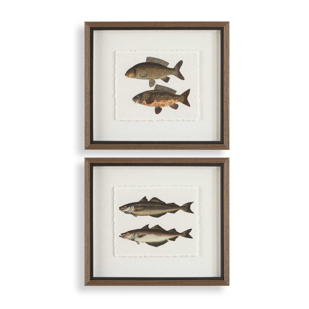 Uttermost Framed Fish Prints Set/2 - Intricate Underwater Artwork With Rustic Gray Shadowbox Frames Black,Brown,Gray,Green,Orange,Woodtone Plastic,Glass,Mdf,Paper 32448