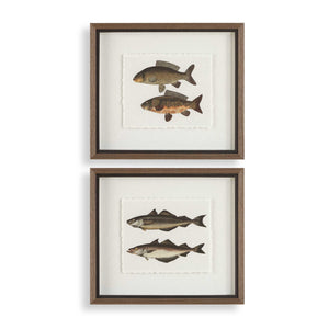 Uttermost Framed Fish Prints Set/2 - Intricate Underwater Artwork With Rustic Gray Shadowbox Frames Black,Brown,Gray,Green,Orange,Woodtone Plastic,Glass,Mdf,Paper 32448