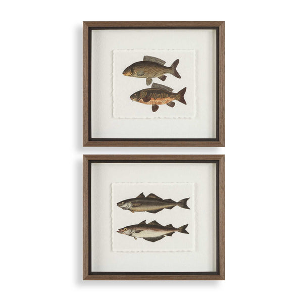 Uttermost Framed Fish Prints Set/2 - Intricate Underwater Artwork With Rustic Gray Shadowbox Frames Black,Brown,Gray,Green,Orange,Woodtone Plastic,Glass,Mdf,Paper 32448