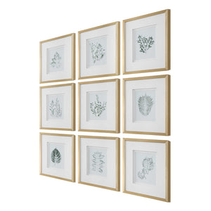 Uttermost Nature's Script - Elegant Set Of 9 Framed Botanical Prints With Gold Gallery Frame Gold,Green,White Plastic,Glass,Mdf,Paper 32449