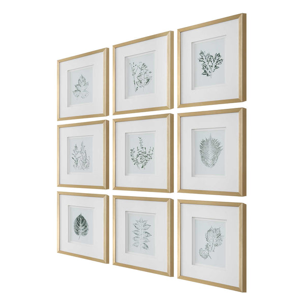 Uttermost Nature's Script - Elegant Set Of 9 Framed Botanical Prints With Gold Gallery Frame Gold,Green,White Plastic,Glass,Mdf,Paper 32449