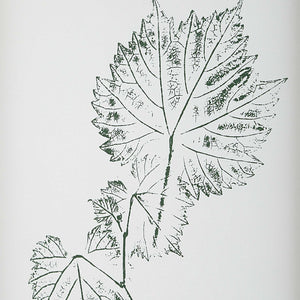 Uttermost Nature's Script - Elegant Set Of 9 Framed Botanical Prints With Gold Gallery Frame Gold,Green,White Plastic,Glass,Mdf,Paper 32449