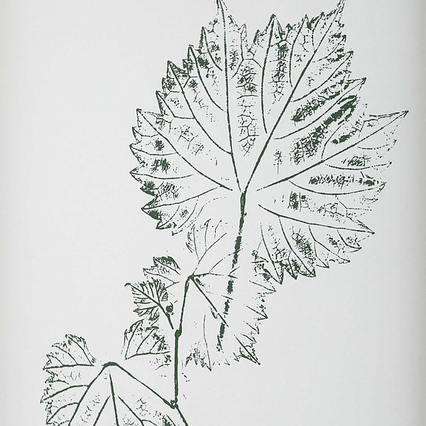 Uttermost Nature's Script - Elegant Set Of 9 Framed Botanical Prints With Gold Gallery Frame Gold,Green,White Plastic,Glass,Mdf,Paper 32449