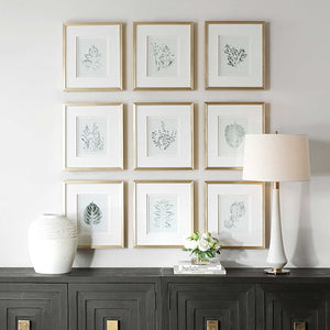 Uttermost Nature's Script - Elegant Set Of 9 Framed Botanical Prints With Gold Gallery Frame Gold,Green,White Plastic,Glass,Mdf,Paper 32449