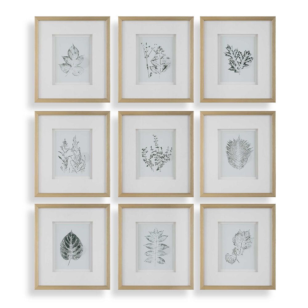 Uttermost Nature's Script - Elegant Set Of 9 Framed Botanical Prints With Gold Gallery Frame Gold,Green,White Plastic,Glass,Mdf,Paper 32449